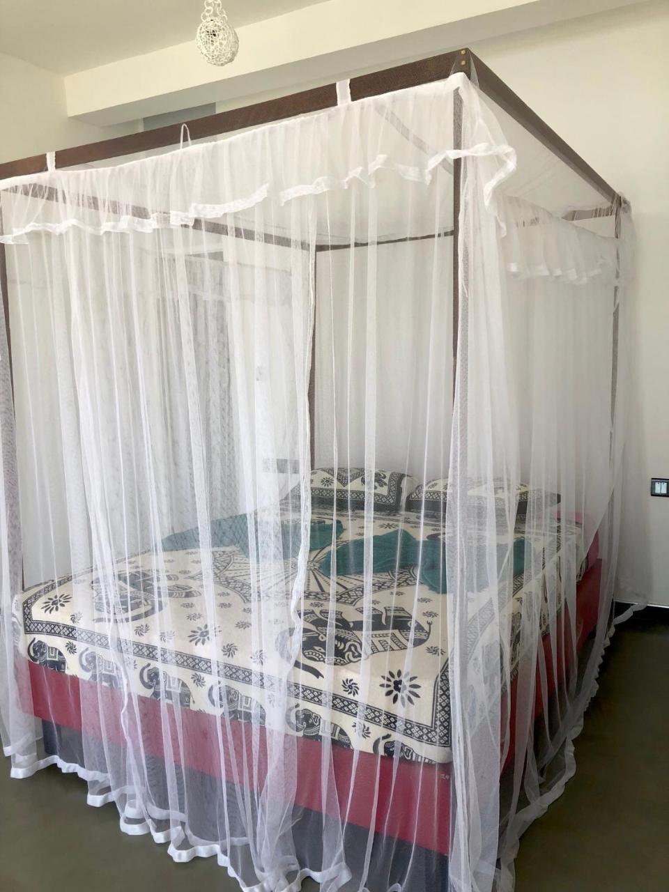 Coppenrath Hostel タンガラ エクステリア 写真