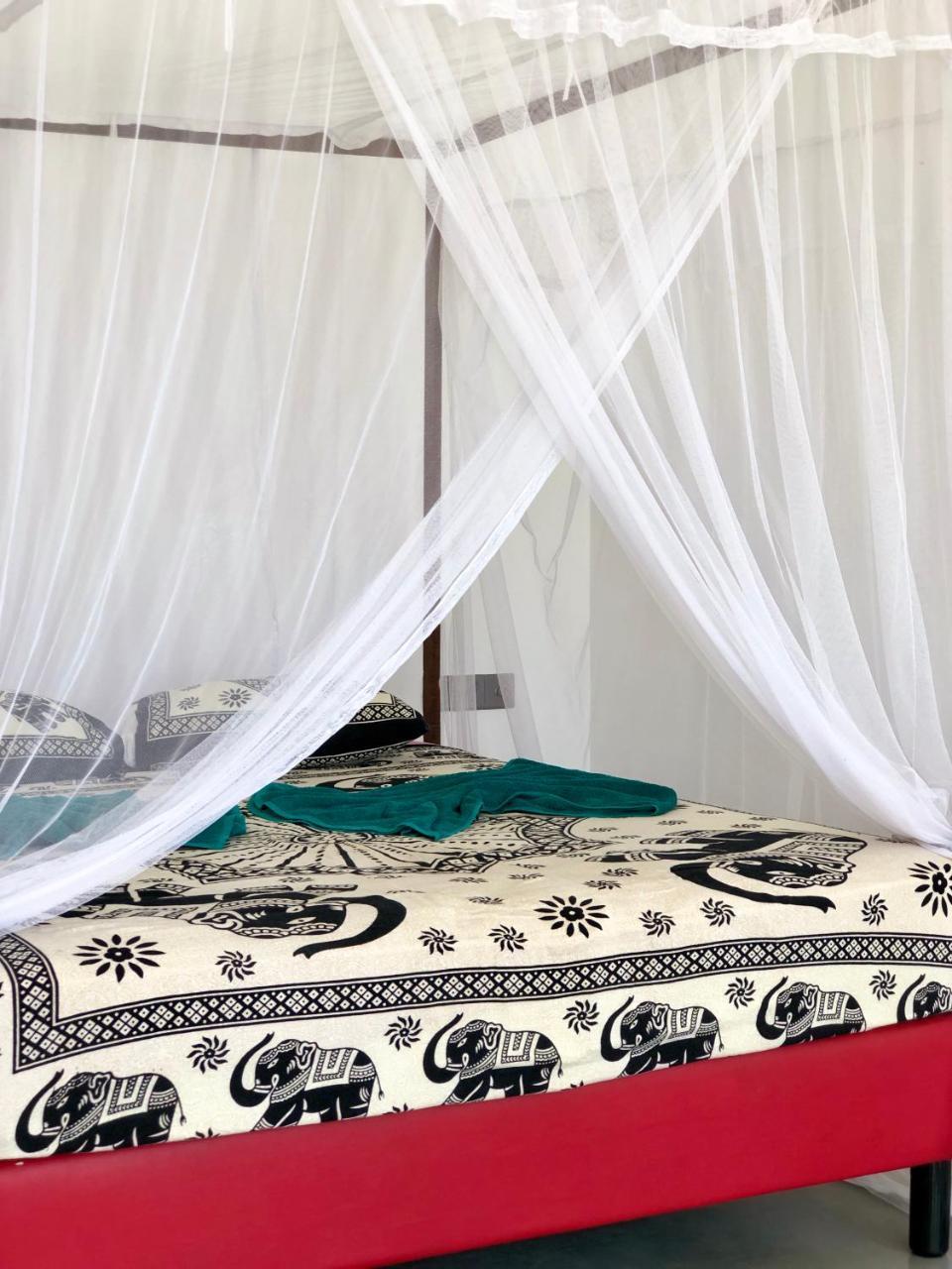 Coppenrath Hostel タンガラ エクステリア 写真