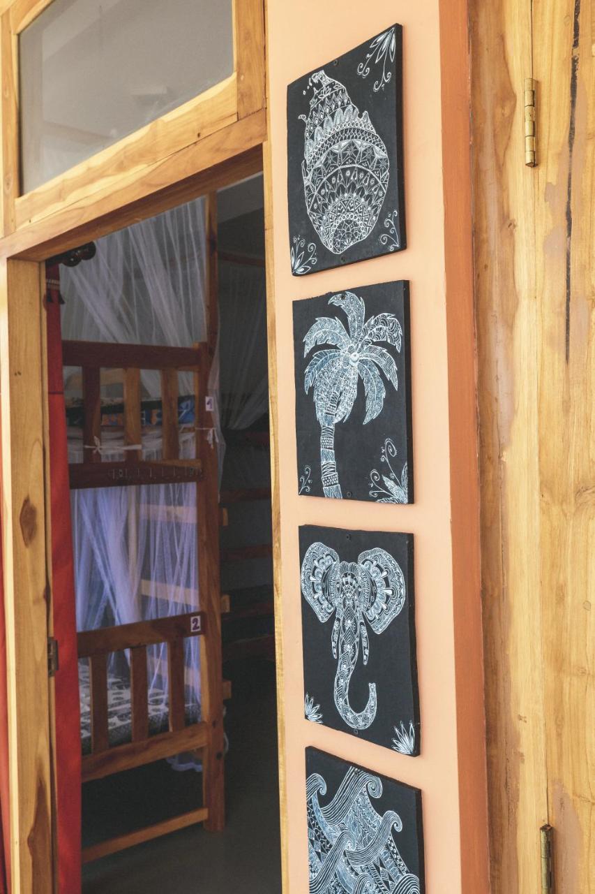 Coppenrath Hostel タンガラ エクステリア 写真