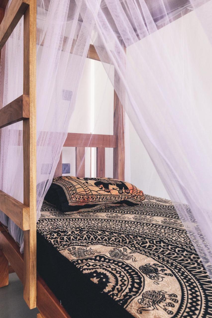 Coppenrath Hostel タンガラ エクステリア 写真